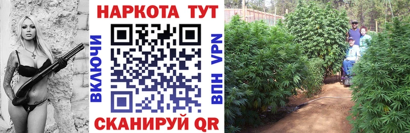 Купить Камышлов Гашиш  Бошки Шишки  Амфетамин  Мефедрон  Галлюциногенные грибы  Альфа ПВП  COCAIN 