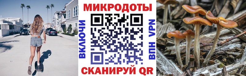 shop формула  Камышлов  Псилоцибиновые грибы мухоморы 